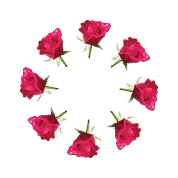 Wreath of roses in polygonal style. Vector illustration on white background. Stock Illustration
