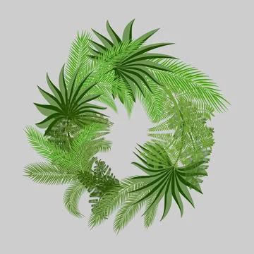 A wreath of two types of palm branches Illustrazione stock