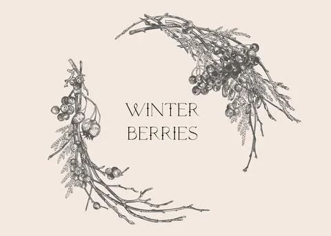 Wreath with winter berries. Illustrazione stock