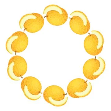Wreath from yellow honeydew melon with space for text. Cartoon organic sweet  Stock Illustration
