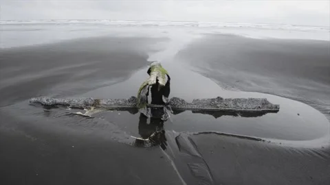 The wreck of the barque Peter Iredale in beach sand ,Clatsop Spit, Oregon, USA Stock-Footage 150979075