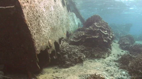 Wreck  Stock Footage 263984