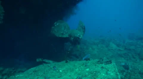 Wreck Hebat Allah. Shot of the propeller Stock Footage 8982844