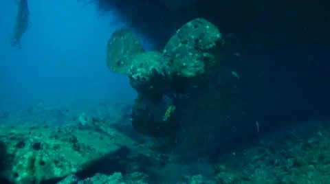 Wreck Hebat Allah. Shot of the propeller Stock Footage 8982847