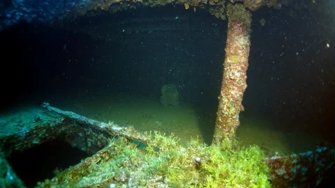 Wreck inside view in underwater world of Truk Islands. Stockbeeldmateriaal 117574854