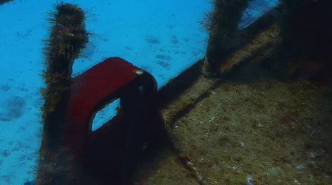 Wreck searching 3 Stock Footage 436336