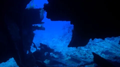 Wreck ship underwater on background marine landscape in Red sea. Stock Footage