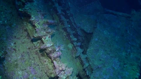 Wreck ship underwater on background marine landscape in Red sea. Stock Footage