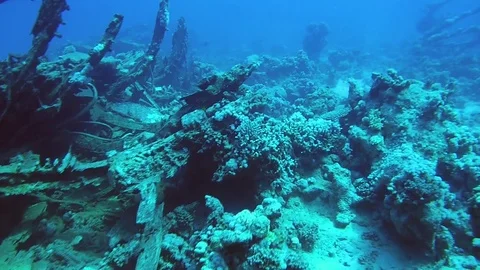 Wreck, sunken ship on seabed - Red Sea Stock Footage 77661243