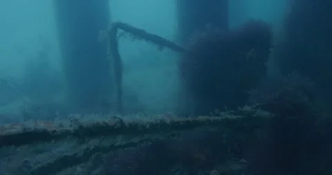 Wreck Under The Jetty Stock Footage 316767409