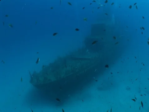 Wreck underwater shipwreck with fish ship wreck Stock Footage