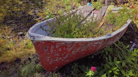 Wrecked dinghy on the shore of Rangitoto Island, New Zealand Stock-Footage 142897341