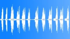 Wren CU Song TreeSound Effect