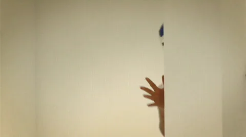 Wrestler Stock Footage 865849