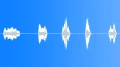 Wrestlergrunts5xSound Effect