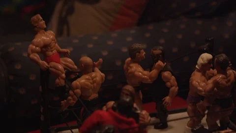 Wrestling action figures Stock Footage 91149611
