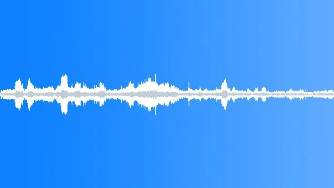 Wrestling Crowd, Large Arena Venue, CU Yelling for Weasel, Male