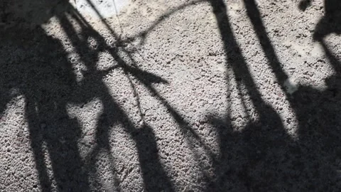 Wrightia antidysenterica tree shadows reflected on a concrete floor Video stock 162573932