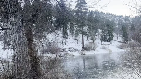Wrightwood snowey lake Stock Footage 236493046