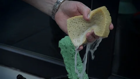 Wringing Out a soapy wet Sponge above a bucket of water, tilt down shot Stock Footage 128899662