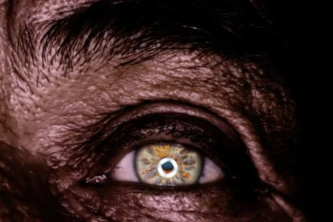 Wrinkled eye Stock Photos