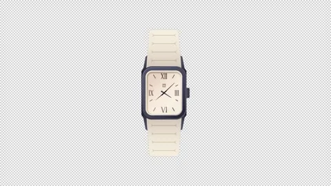 Wrist Symphony: Mesmerizing Animation of 12 Hours Hand Watches in Motion 動画素材 276683235