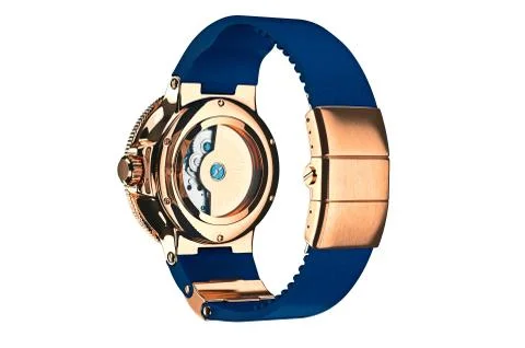 Wrist watch accessory, back view Stock-Illustration