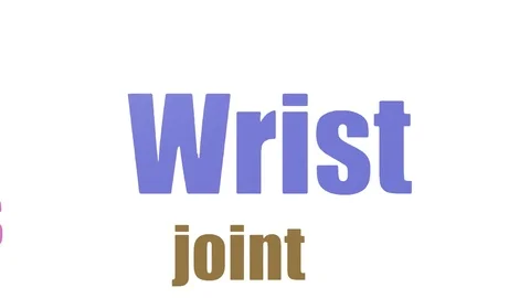 Wrist Word Cloud Animated Isolated Stock Footage 107247997