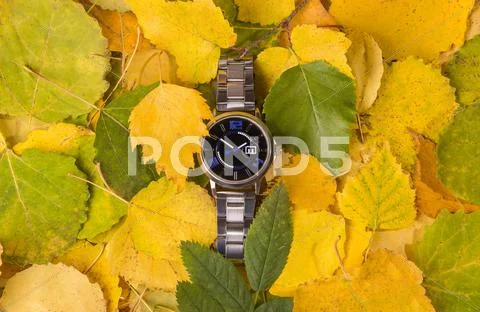 Wristwatch in autumn Leafs Stock Photos