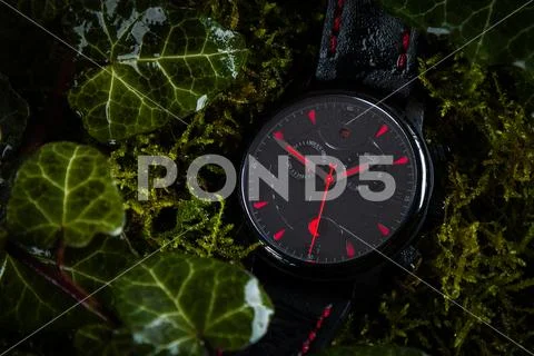 Wristwatch on green foliage setting Stock Photos