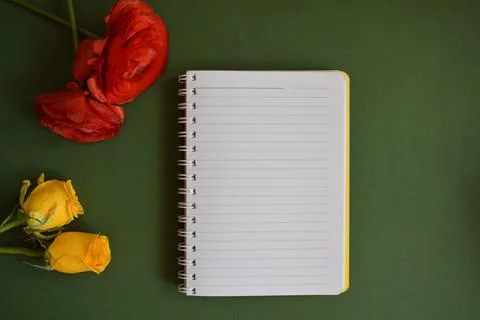 Write a message in the notepad. Yellow and red roses Stock Photos