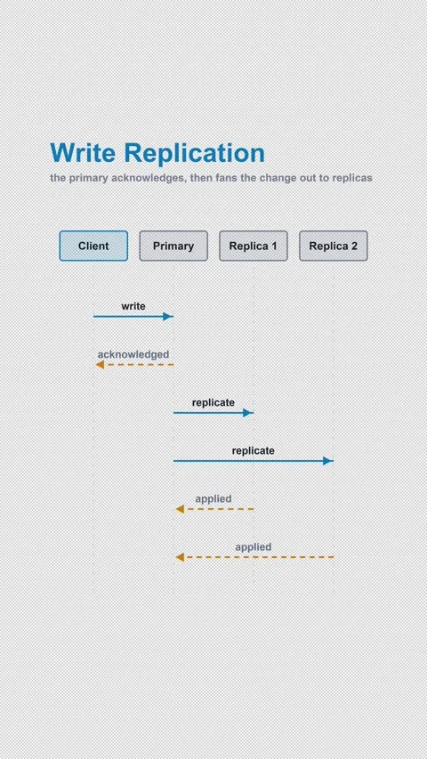 Write Replication Labeled Protocol Sequence Diagram Alpha 4K Vertical 9x16 Light Vidéo 339518923