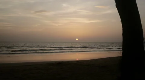 Writer typing on laptop during sunset at beach Video stock 60933235