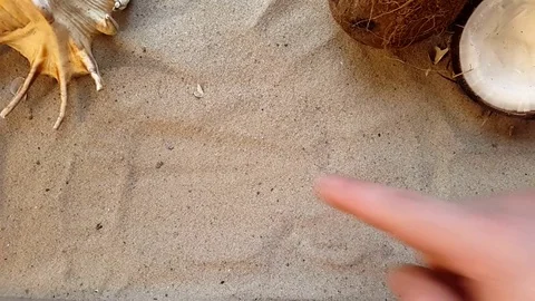Writes the word Spa, on the sand of the beach with a seashell and a coconut Stock Footage 84597499