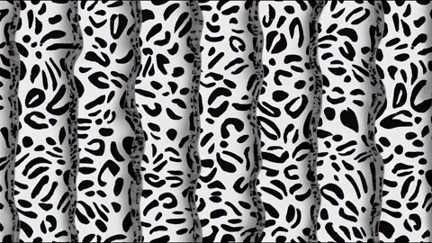 Writing animation. collage animation, leopard skin, writing slogan, 2022 Stock Footage 220124737