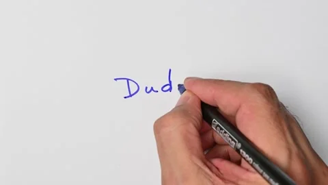 Writing with a blue marker the sentence: Dude Stock Footage 221781848