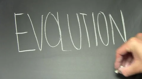Writing on chalkboard EVOLUTION V2 - HD Stock-Footage 5299521