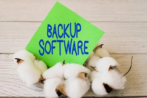 Writing displaying text Backup Software. Business idea create extra exact copies Foto stock