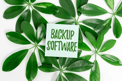 Writing displaying text Backup Software. Business approach create extra exact Foto stock