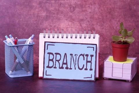 Writing displaying text Branch. Business concept a part of a tree which grows Stock Photos