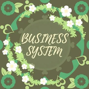Writing displaying text Business System. Word Written on A method of analyzing Illustrazione stock