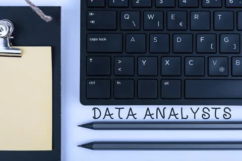Writing displaying text Data Analysts. Conceptual photo Programmer Design and Stock Photos