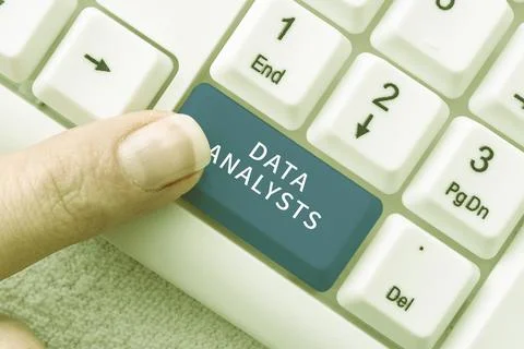 Writing displaying text Data Analysts. Word Written on Programmer Design and Stock Photos