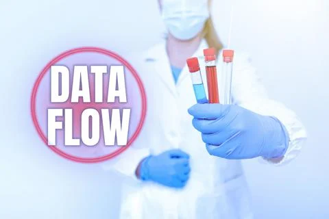 Writing displaying text Data Flow. Business overview the movement of data 스톡 사진