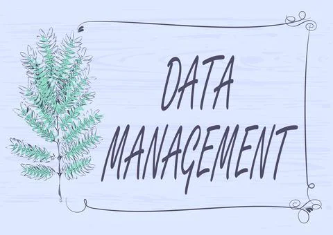 Writing displaying text Data Management. Conceptual photo The practice of 库存插图