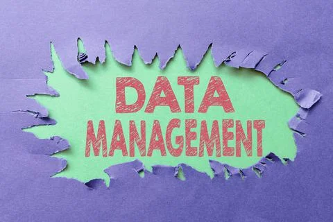Writing displaying text Data Management. Concept meaning disciplines related to Foto stock