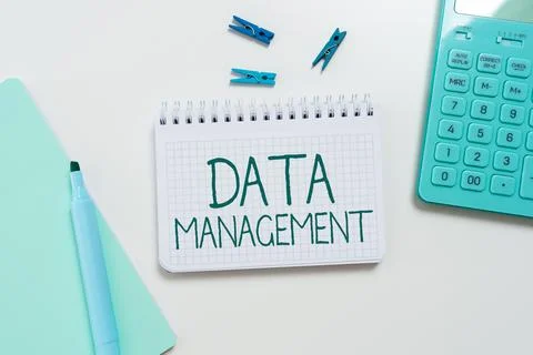 Writing displaying text Data Management. Business approach disciplines related Foto stock