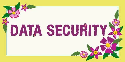 Writing displaying text Data Security. Business showcase Confidentiality Disk Stock Illustration