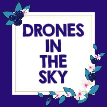 Writing displaying text Drones In The Sky. Business overview Modern aerial Stock Illustration