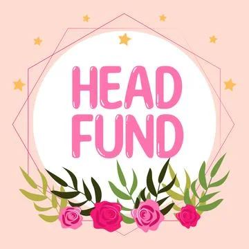 Writing displaying text Head Fund. Internet Concept pools capital from Stock Illustration